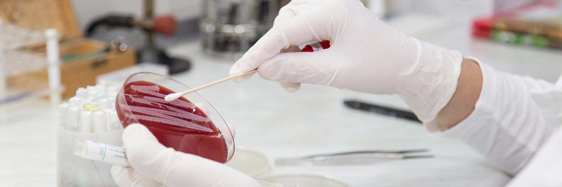 Terms and Conditions